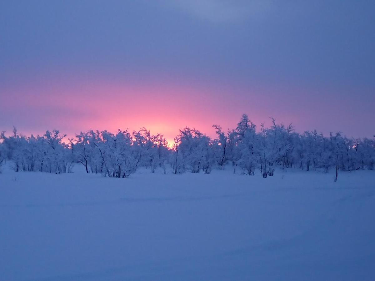 Mattarahkka Northern Light Lodge Kiruna Exterior photo